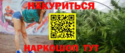 тгк Краснодар