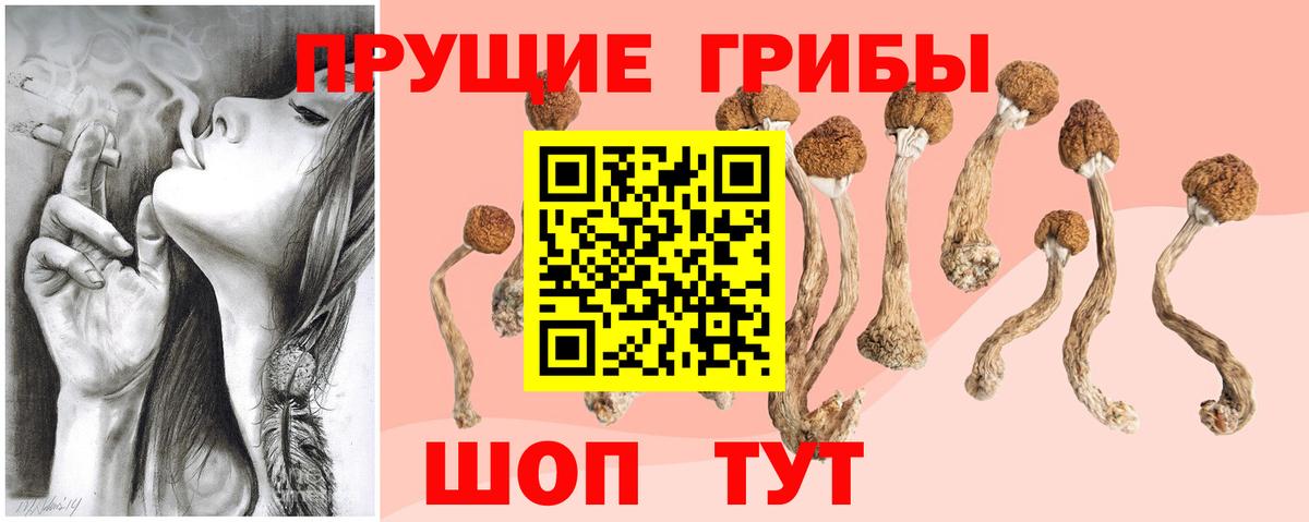 Псилоцибиновые грибы MAGIC MUSHROOMS  Вход с VPN  Кириши  где купить наркоту  Псилоцибиновые грибы прущие грибы 